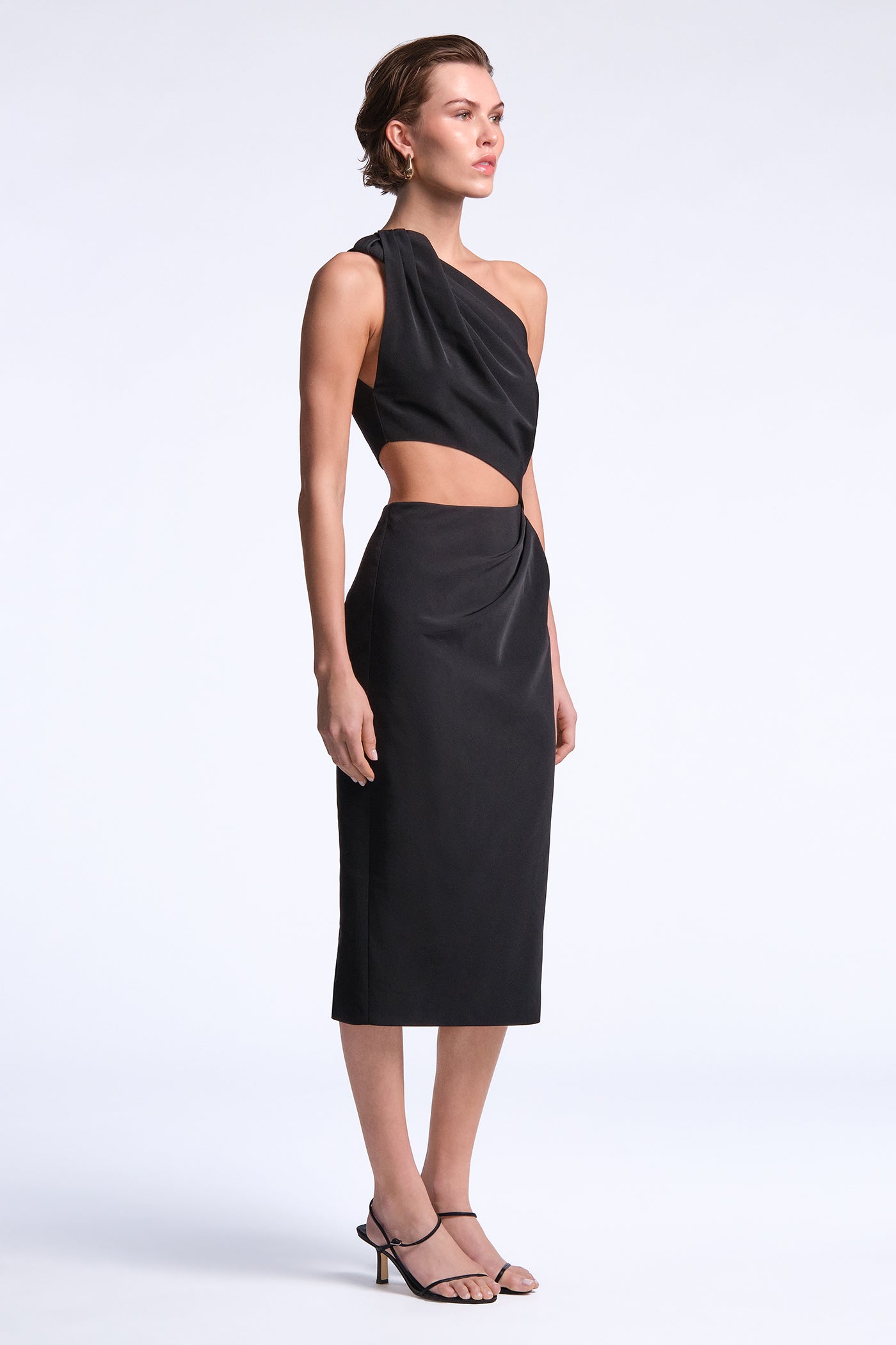 BCBGMAXAZRIA Isabel Dress Black