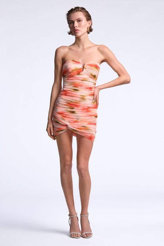 BCBGMAXAZRIA Elia Dress Floral Echo Print