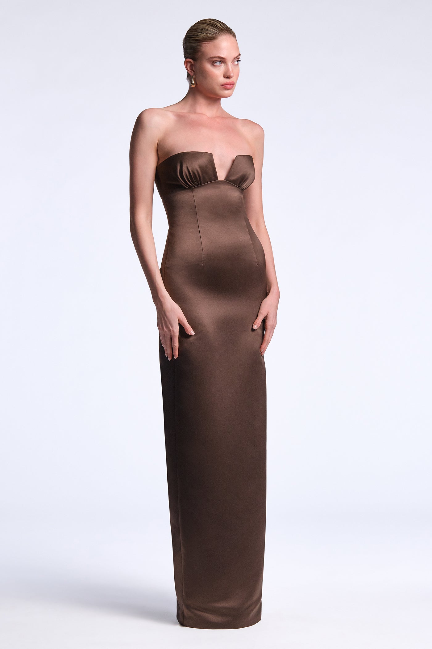 BCBGMAXAZRIA Mariane Gown Chocolate