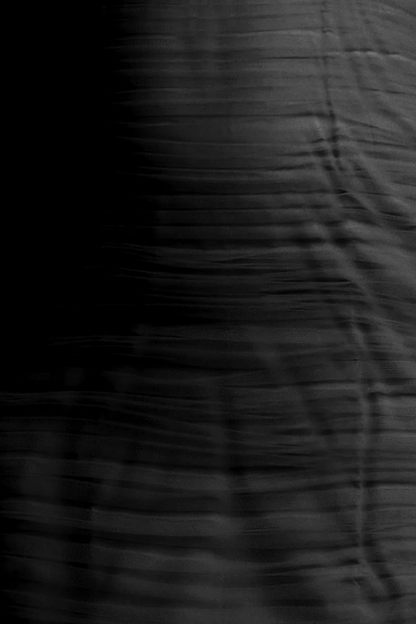 BCBGMAXAZRIA Tulle Mini Dress Black
