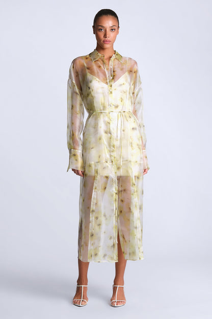 BCBGMAXAZRIA Monica Printed Dress Bouquet Print Firefly