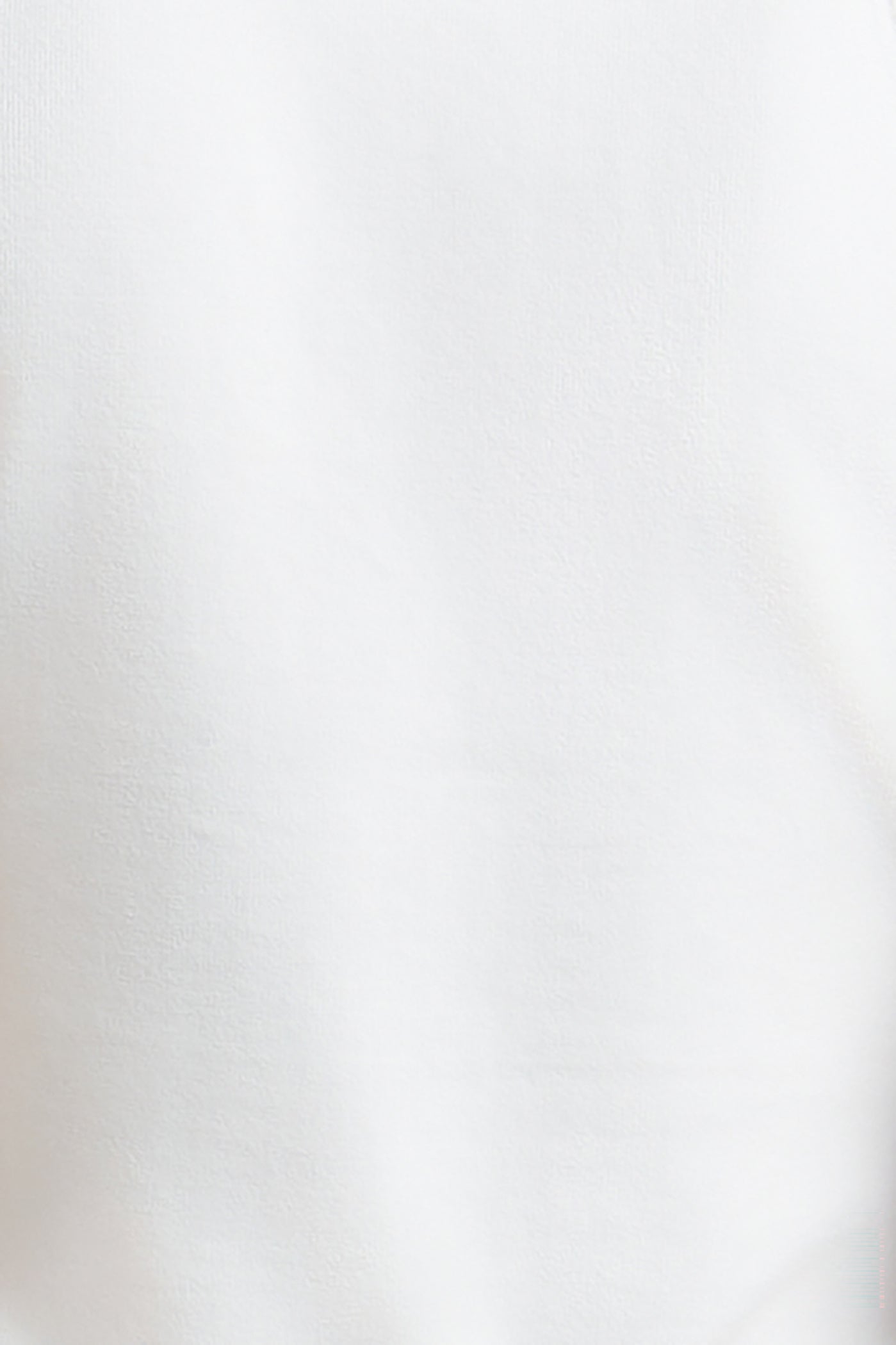 BCBGMAXAZRIA Nova Bodysuit Gardenia