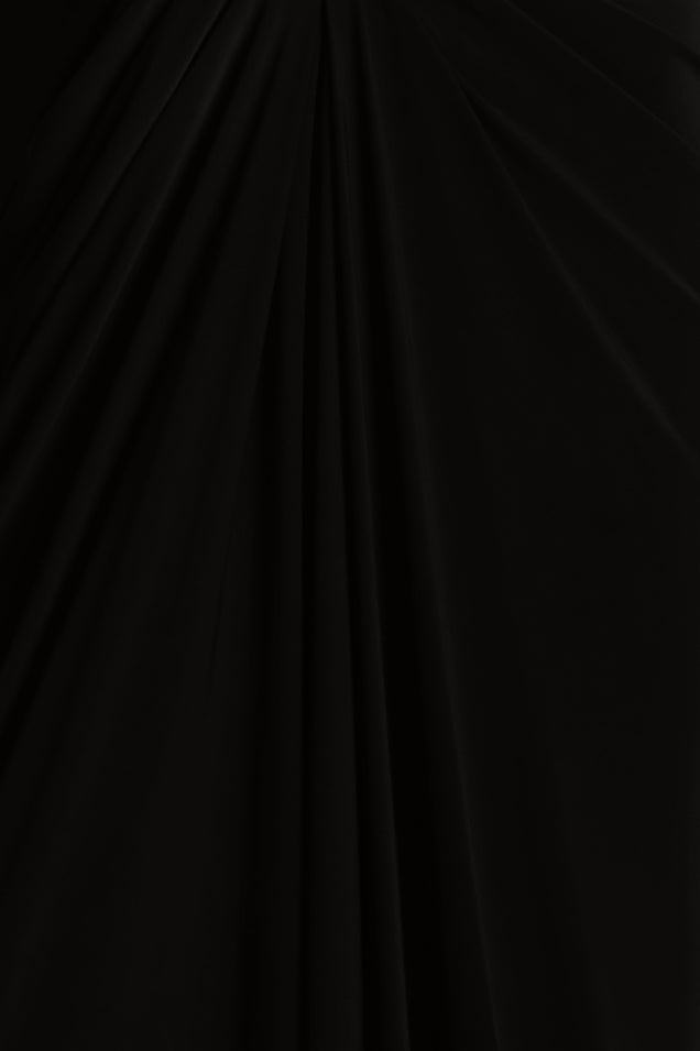 BCBGMAXAZRIA Lace & Jersey Gown Black