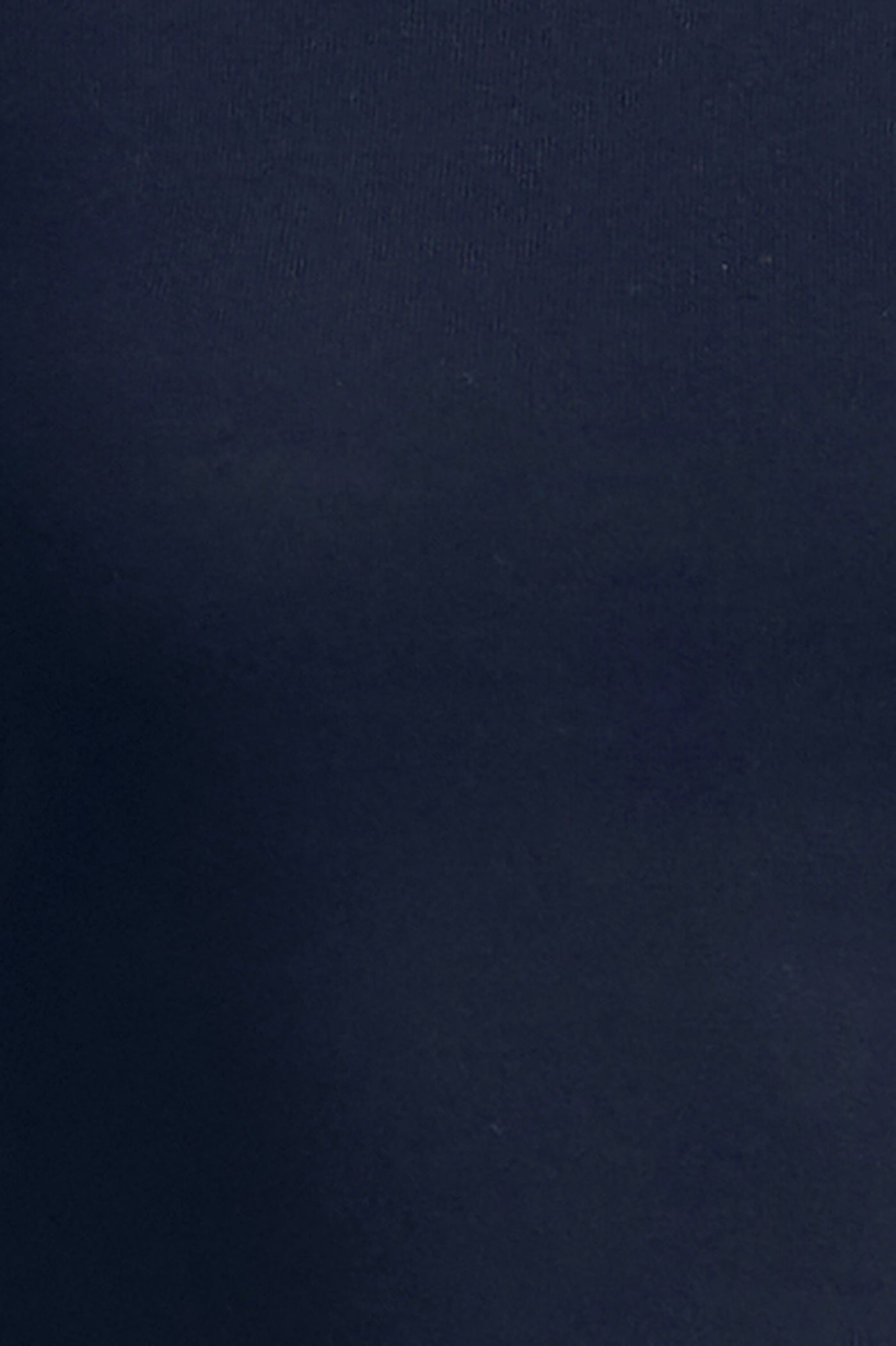 BCBGMAXAZRIA Ivy Turtleneck Dark Sapphire