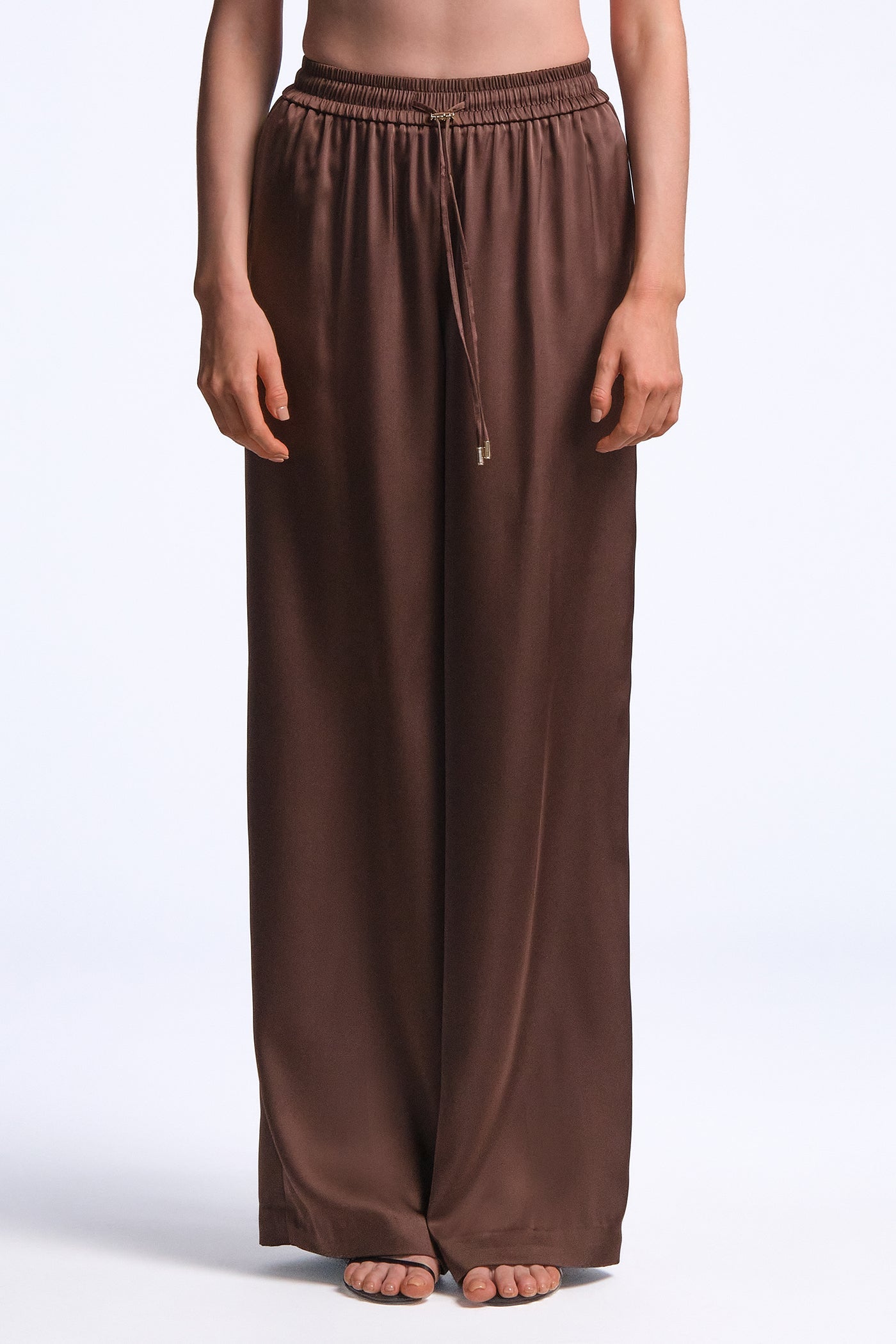 BCBGMAXAZRIA Amara Pant Chocolate