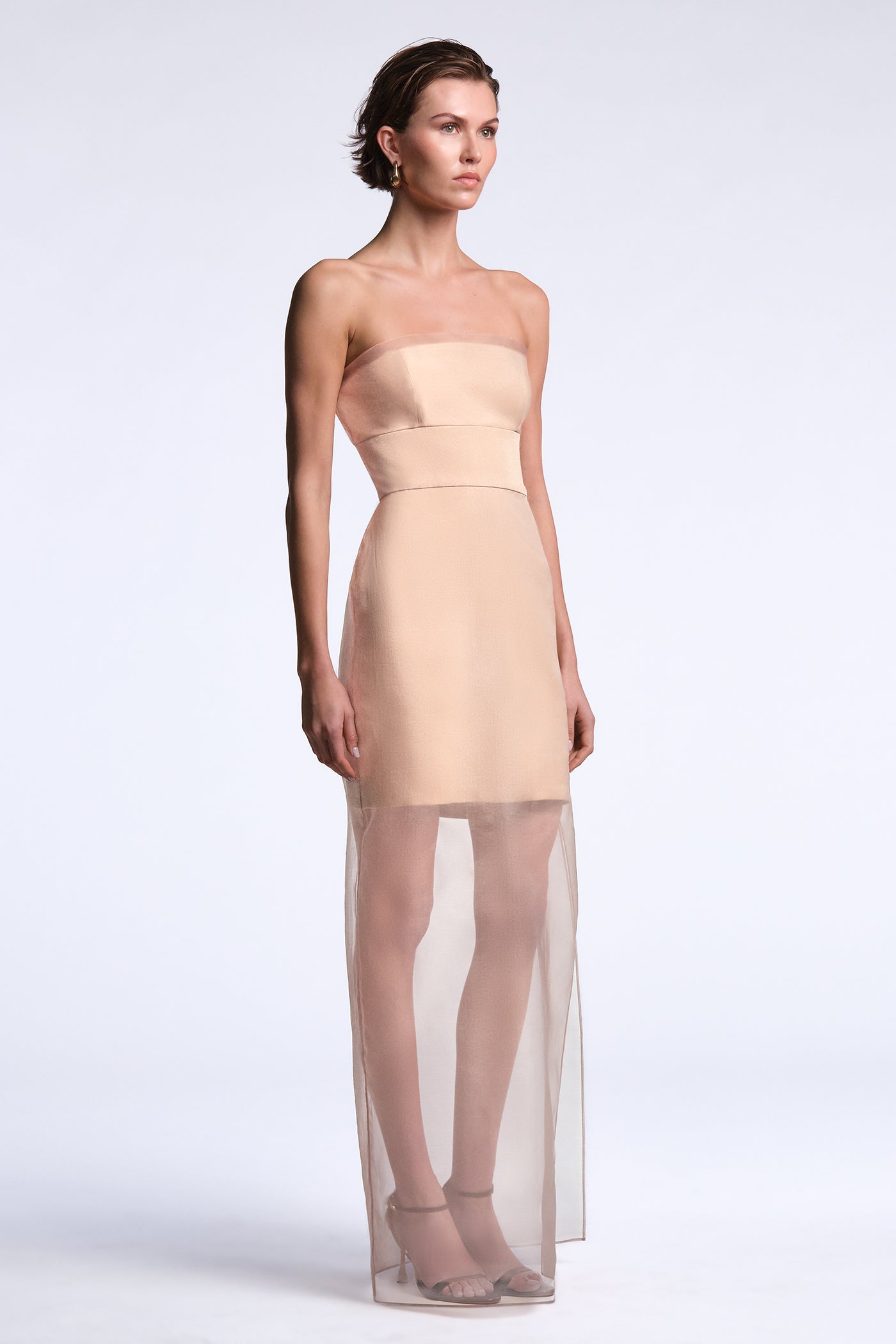 BCBGMAXAZRIA Eva Dress Tobacco